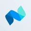 Netvisor logo