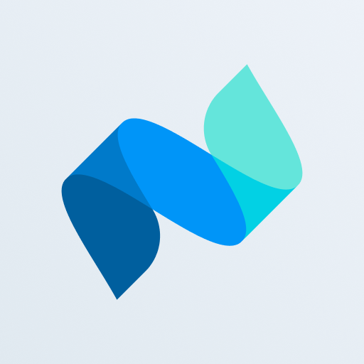 Netvisor logo